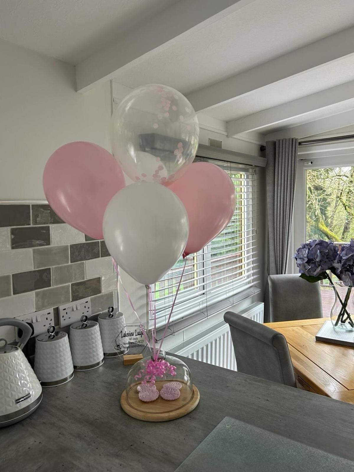 Lakeview Lodge, Builth Wells No Tradesmen Allowed ภายนอก รูปภาพ